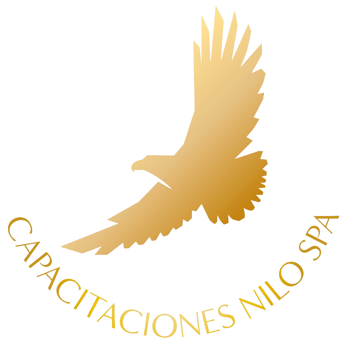 Logo Capacitaciones Nilo Spa