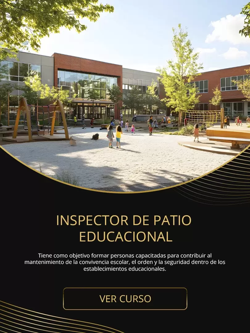 Curso inspector de patio educacional